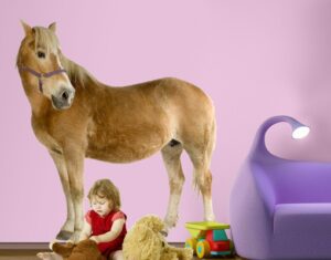 Wandtattoo Kinderzimmer No.308 Haflinger