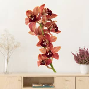 Wandtattoo Blumen No.180 Orchidee Rot II