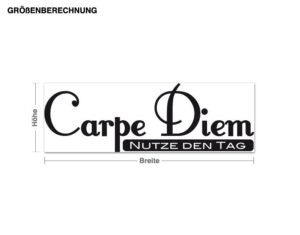 Wandtattoo Spruch Carpe Diem